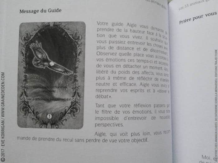 Le Coffret des Animaux-Guides de Catherine Sorolla Menassieu - L'Officiel - Graine d'Eden Développement personnel, spiritualité, tarots et oracles divinatoires, Bibliothèques des Oracles, avis, présentation, review , revue