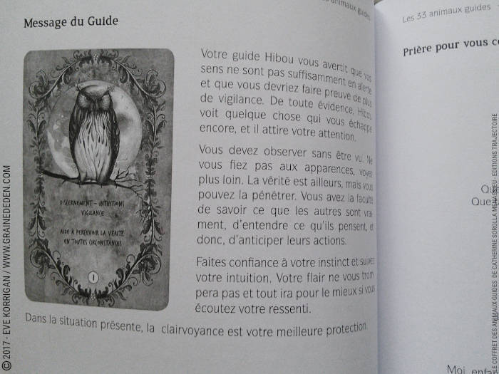 Le Coffret des Animaux-Guides de Catherine Sorolla Menassieu - L'Officiel - Graine d'Eden Développement personnel, spiritualité, tarots et oracles divinatoires, Bibliothèques des Oracles, avis, présentation, review , revue