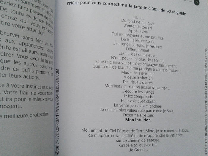 Le Coffret des Animaux-Guides de Catherine Sorolla Menassieu - L'Officiel - Graine d'Eden Développement personnel, spiritualité, tarots et oracles divinatoires, Bibliothèques des Oracles, avis, présentation, review , revue