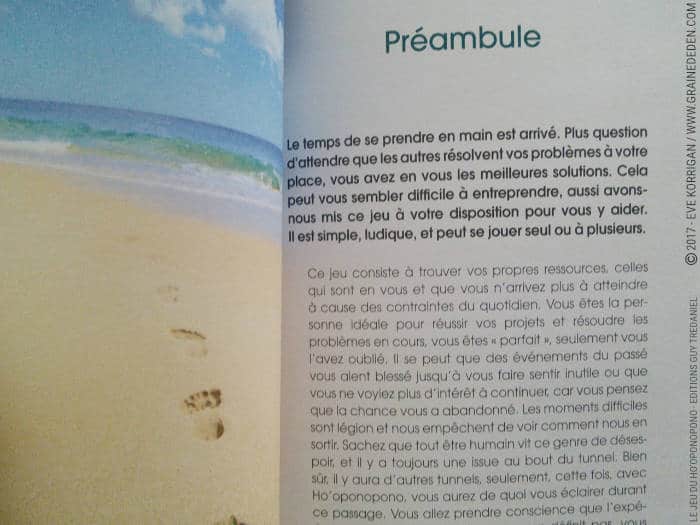 Le Jeu du Ho'oponopono de Nathalie Lamboy et Marc Kucharz - Graine d'Eden Développement personnel, spiritualité, tarots et oracles divinatoires, Bibliothèques des Oracles, avis, présentation, review , revue