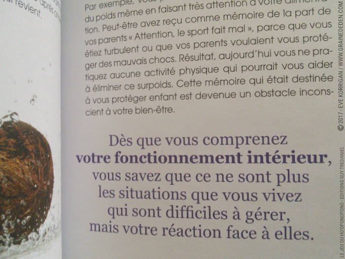 Le Jeu du Ho'oponopono de Nathalie Lamboy et Marc Kucharz - Graine d'Eden Développement personnel, spiritualité, tarots et oracles divinatoires, Bibliothèques des Oracles, avis, présentation, review , revue