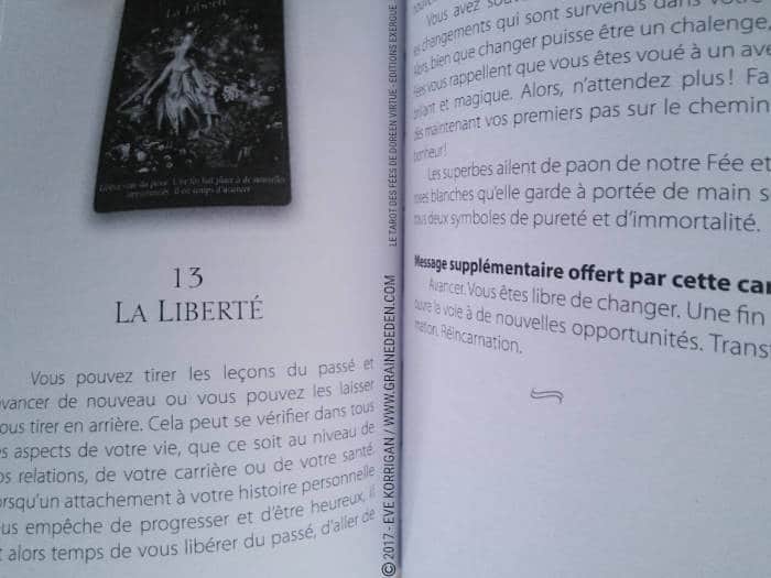 Le Tarot des Fées de Doreen Virtue et Radleigh Valentine- Graine d'Eden Développement personnel, spiritualité, tarots et oracles divinatoires, Bibliothèques des Tarots, avis, présentation, review , revue