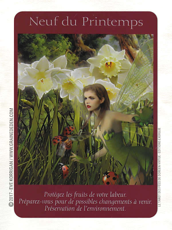 Le Tarot des Fées de Doreen Virtue et Radleigh Valentine- Graine d'Eden Développement personnel, spiritualité, tarots et oracles divinatoires, Bibliothèques des Tarots, avis, présentation, review , revue