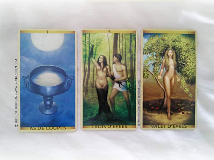 Le Tarot du Féminin Sacré de Floreana Nativo - Graine d'Eden Développement personnel, spiritualité, tarots et oracles divinatoires, Bibliothèques des Tarots, avis, présentation, review , revue