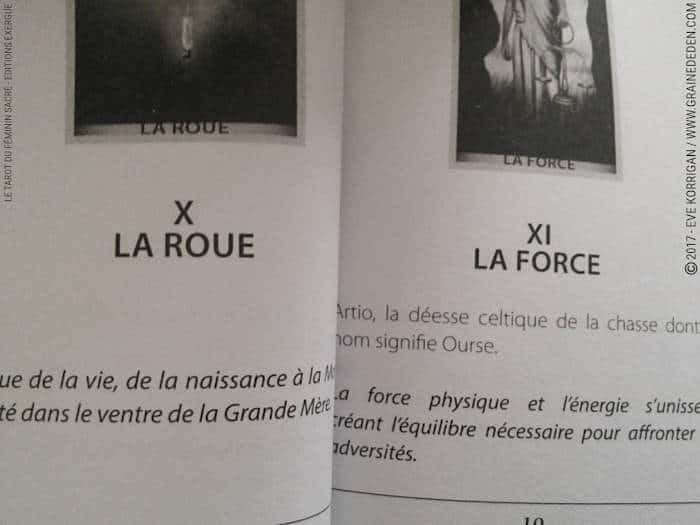 Le Tarot du Féminin Sacré de Floreana Nativo - Graine d'Eden Développement personnel, spiritualité, tarots et oracles divinatoires, Bibliothèques des Tarots, avis, présentation, review , revue