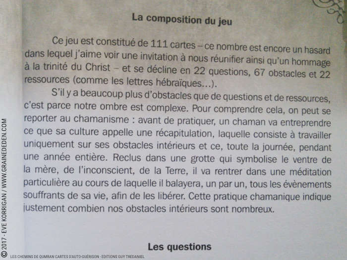 Les chemins de Qumran Cartes d'Auto-guérison et d'introspection de Sarah Lechevalier Sirblondin et Géraldine Bindi - Graine d'Eden Développement personnel, spiritualité, tarots et oracles divinatoires, Bibliothèques des Oracles, avis, présentation, review , revue