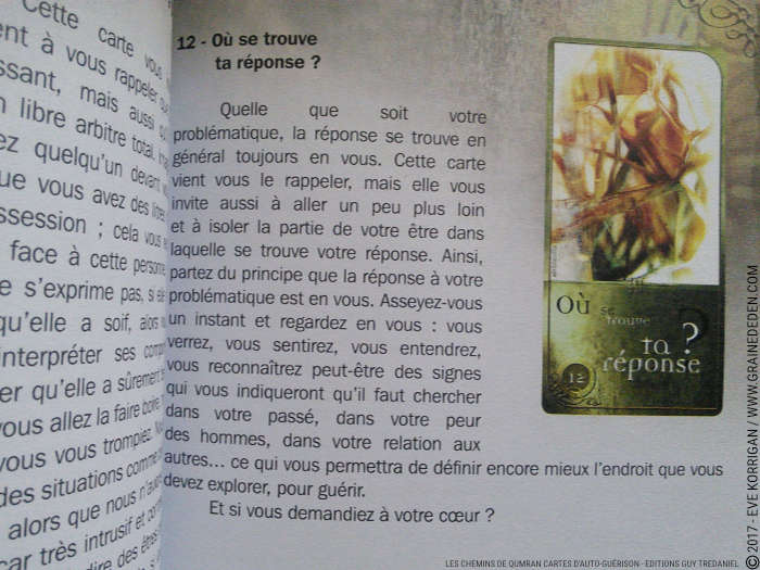 Les chemins de Qumran Cartes d'Auto-guérison et d'introspection de Sarah Lechevalier Sirblondin et Géraldine Bindi - Graine d'Eden Développement personnel, spiritualité, tarots et oracles divinatoires, Bibliothèques des Oracles, avis, présentation, review , revue