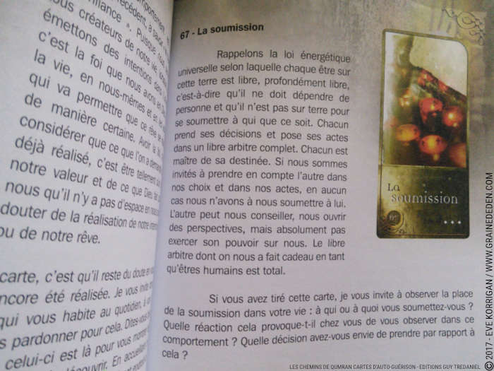 Les chemins de Qumran Cartes d'Auto-guérison et d'introspection de Sarah Lechevalier Sirblondin et Géraldine Bindi - Graine d'Eden Développement personnel, spiritualité, tarots et oracles divinatoires, Bibliothèques des Oracles, avis, présentation, review , revue