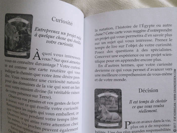 Licornes Magiques Cartes Oracle de Doreen Virtue - Graine d'Eden Développement personnel, spiritualité, tarots et oracles divinatoires, Bibliothèques des Oracles, avis, présentation, review , revue