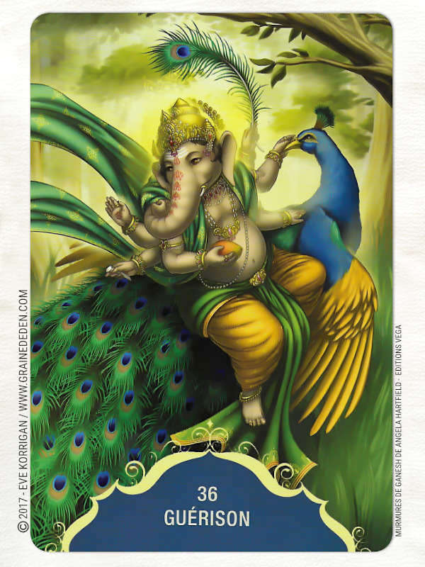 Murmures de Ganesh Cartes Oracle de Angela Hartfield - Graine d'Eden Développement personnel, spiritualité, tarots et oracles divinatoires, Bibliothèques des Oracles, avis, présentation, review , revue