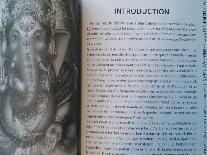 Murmures de Ganesh Cartes Oracle de Angela Hartfield - Graine d'Eden Développement personnel, spiritualité, tarots et oracles divinatoires, Bibliothèques des Oracles, avis, présentation, review , revue