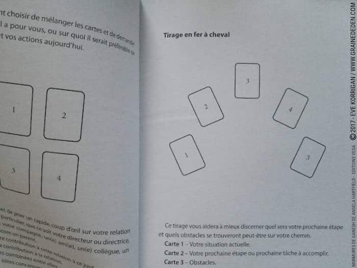 Murmures de Ganesh Cartes Oracle de Angela Hartfield - Graine d'Eden Développement personnel, spiritualité, tarots et oracles divinatoires, Bibliothèques des Oracles, avis, présentation, review , revue