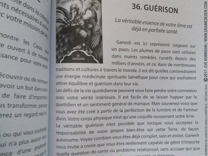 Murmures de Ganesh Cartes Oracle de Angela Hartfield - Graine d'Eden Développement personnel, spiritualité, tarots et oracles divinatoires, Bibliothèques des Oracles, avis, présentation, review , revue