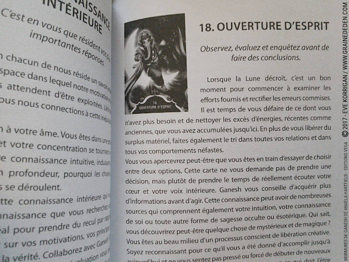 Murmures de Ganesh Cartes Oracle de Angela Hartfield - Graine d'Eden Développement personnel, spiritualité, tarots et oracles divinatoires, Bibliothèques des Oracles, avis, présentation, review , revue