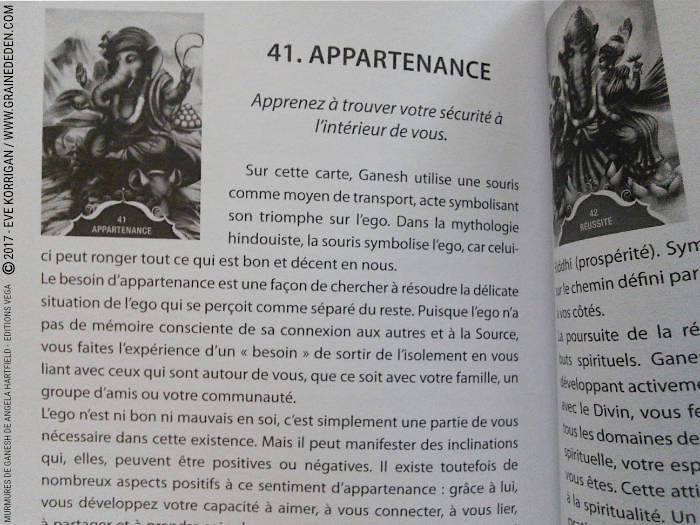 Murmures de Ganesh Cartes Oracle de Angela Hartfield - Graine d'Eden Développement personnel, spiritualité, tarots et oracles divinatoires, Bibliothèques des Oracles, avis, présentation, review , revue