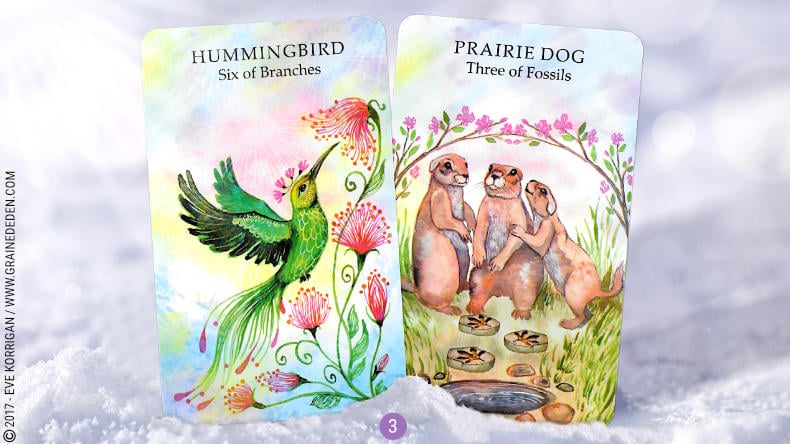 18 au 24 Décembre 2017 - Votre guidance de la semaine avec The Animal Wisdom Tarot de Dawn Brunke et Ola Liola - Graine d'Eden Eve Korrigan - Développement personnel, spiritualité, tarots et oracles divinatoires, Bibliothèques des Oracles, avis, présentation, review , revue