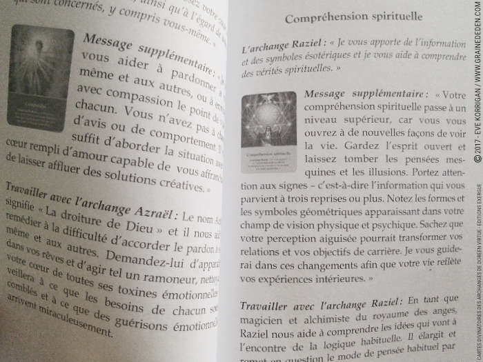 Cartes Divinatoires des Archanges de Doreen Virtue - Graine d'Eden Développement personnel, spiritualité, tarots et oracles divinatoires, Bibliothèques des Oracles, avis, présentation, review , revue