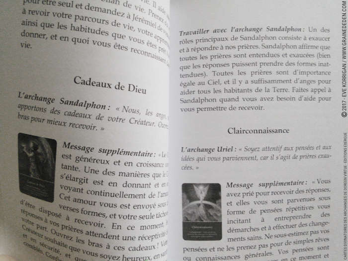 Cartes Divinatoires des Archanges de Doreen Virtue - Graine d'Eden Développement personnel, spiritualité, tarots et oracles divinatoires, Bibliothèques des Oracles, avis, présentation, review , revue