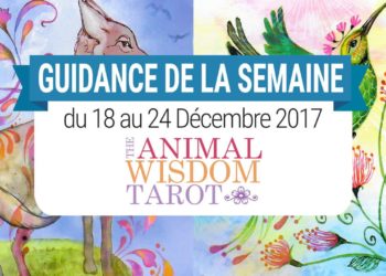 18 au 24 Décembre 2017 - Votre guidance de la semaine avec The Animal Wisdom Tarot de Dawn Brunke et Ola Liola - Graine d'Eden Eve Korrigan - Développement personnel, spiritualité, tarots et oracles divinatoires, Bibliothèques des Oracles, avis, présentation, review , revue