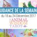 18 au 24 Décembre 2017 - Votre guidance de la semaine avec The Animal Wisdom Tarot de Dawn Brunke et Ola Liola - Graine d'Eden Eve Korrigan - Développement personnel, spiritualité, tarots et oracles divinatoires, Bibliothèques des Oracles, avis, présentation, review , revue