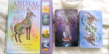 The Animal Wisdom Tarot de Dawn Brunke et Ola Liola - Graine d'Eden Développement personnel, spiritualité, tarots et oracles divinatoires, Bibliothèques des Tarots, avis, présentation, review , revue