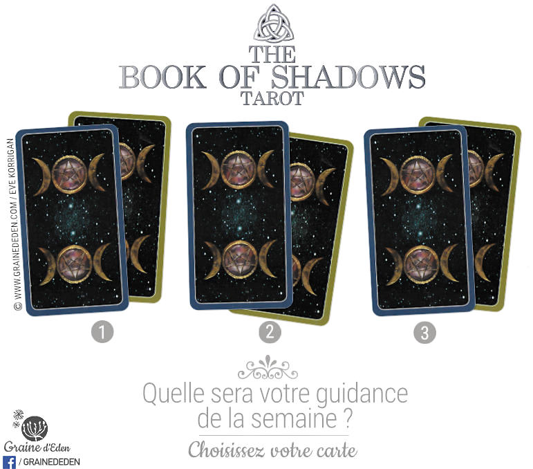29 janvier au 4 février 2018 - Votre guidance de la semaine avec The Book of Shadows Le Livre des Ombres de Barbara Moore So Above As Below