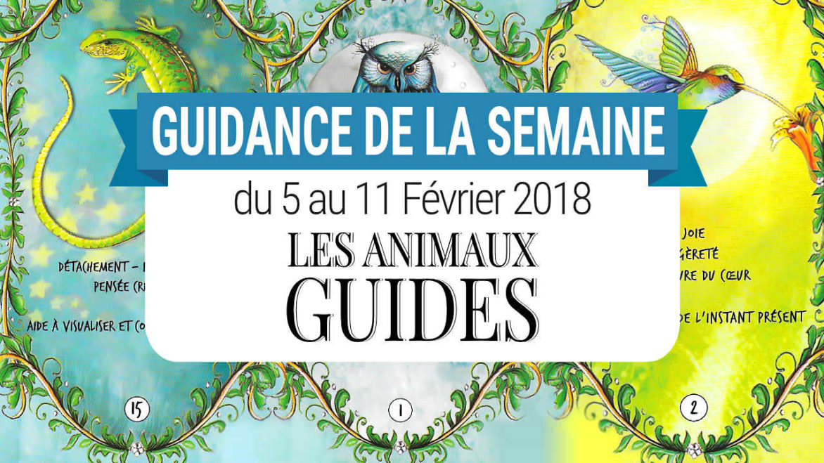 5 au 11 Février 2018 - Votre guidance de la semaine avec le Coffret des Animaux Guides de Catherine Sorolla Menassieu- Graine d'Eden Développement personnel, spiritualité, tarots et oracles divinatoires, Bibliothèques des Oracles, avis, présentation, review , revue