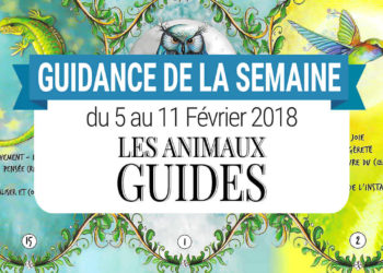 5 au 11 Février 2018 - Votre guidance de la semaine avec le Coffret des Animaux Guides de Catherine Sorolla Menassieu- Graine d'Eden Développement personnel, spiritualité, tarots et oracles divinatoires, Bibliothèques des Oracles, avis, présentation, review , revue