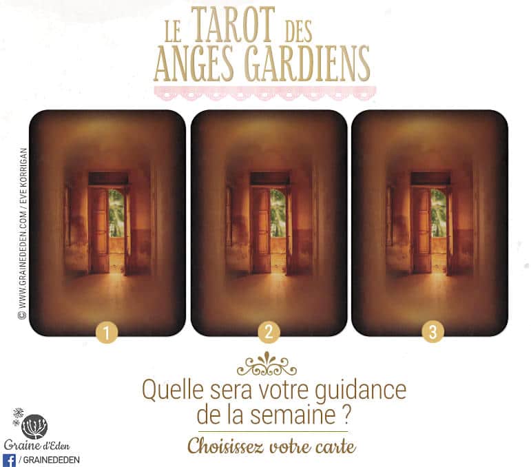 19 au 25 Février 2018 - Votre guidance de la semaine avec Le Tarot des Anges Gardiens de Doreen Virtue - Graine d'Eden Développement personnel, spiritualité, tarots et oracles divinatoires, Bibliothèques des Oracles, avis, présentation, review , revue