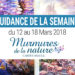 12 au 18 Mars 2018 - Votre guidance de la semaine avec Oracle Murmures de la Nature de Angela Hartfield et Josephine Wall - Graine d'Eden Développement personnel, spiritualité, tarots et oracles divinatoires, Bibliothèques des Oracles, avis, présentation, review , revue