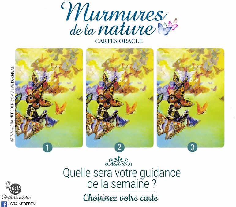 12 au 18 Mars 2018 - Votre guidance de la semaine avec Oracle Murmures de la Nature de Angela Hartfield et Josephine Wall - Graine d'Eden Développement personnel, spiritualité, tarots et oracles divinatoires, Bibliothèques des Oracles, avis, présentation, review , revue