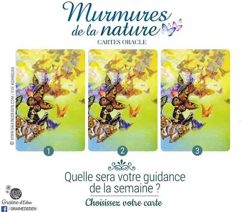 12 au 18 Mars 2018 - Votre guidance de la semaine avec Oracle Murmures de la Nature de Angela Hartfield et Josephine Wall - Graine d'Eden Développement personnel, spiritualité, tarots et oracles divinatoires, Bibliothèques des Oracles, avis, présentation, review , revue