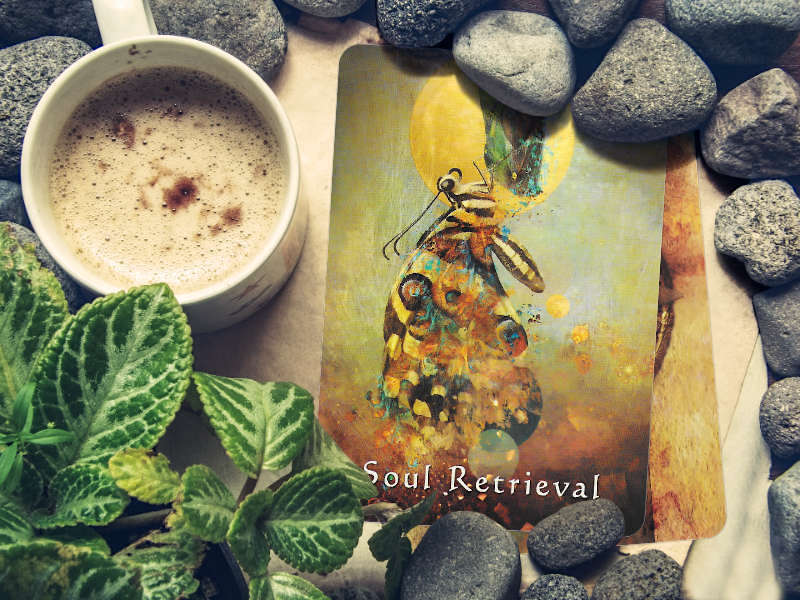 16 au 22 Avril 2018 - Votre guidance de la semaine avec Mystical Shaman Oracle Deck de Colette Baron-Reid et Jena DelaGrottaglia - Graine d'Eden Développement personnel, spiritualité, tarots et oracles divinatoires, Bibliothèques des Oracles, avis, présentation, review , revue