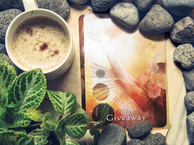16 au 22 Avril 2018 - Votre guidance de la semaine avec Mystical Shaman Oracle Deck de Colette Baron-Reid et Jena DelaGrottaglia - Graine d'Eden Développement personnel, spiritualité, tarots et oracles divinatoires, Bibliothèques des Oracles, avis, présentation, review , revue