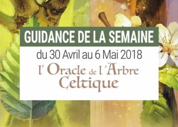 30 Avril au 6 mai 2018 - Votre guidance de la semaine avec l'Oracle de l'Arbre Celtique de Sharlyn Hidalgo et Jimmy Manton - Graine d'Eden Développement personnel, spiritualité, tarots et oracles divinatoires, Bibliothèques des Oracles, avis, présentation, review tarot oracle , revue tarot oracle