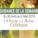 30 Avril au 6 mai 2018 - Votre guidance de la semaine avec l'Oracle de l'Arbre Celtique de Sharlyn Hidalgo et Jimmy Manton - Graine d'Eden Développement personnel, spiritualité, tarots et oracles divinatoires, Bibliothèques des Oracles, avis, présentation, review tarot oracle , revue tarot oracle