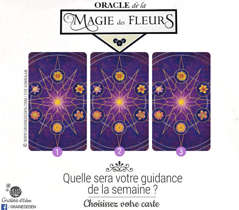 2 au 8 Avril 2018 - Votre guidance de la semaine avec Oracle de la Magie des Fleurs de Tess Whitehurst - Graine d'Eden Développement personnel, spiritualité, tarots et oracles divinatoires, Bibliothèques des Oracles, avis, présentation, review , revue