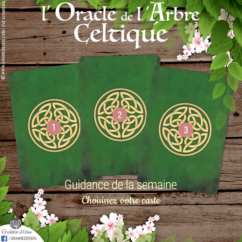 30 Avril au 6 mai 2018 - Votre guidance de la semaine avec l'Oracle de l'Arbre Celtique de Sharlyn Hidalgo et Jimmy Manton - Graine d'Eden Développement personnel, spiritualité, tarots et oracles divinatoires, Bibliothèques des Oracles, avis, présentation, review tarot oracle , revue tarot oracle