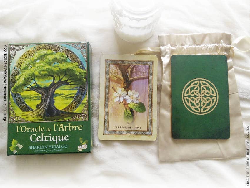 Review L'Oracle de l'Arbre Celtique de Sharlyn Hidalgo et Jimmy Manton - Graine d'Eden Développement personnel, spiritualité, tarots et oracles divinatoires, Bibliothèques des Oracles, avis, présentation, review tarot oracle , revue tarot oracle