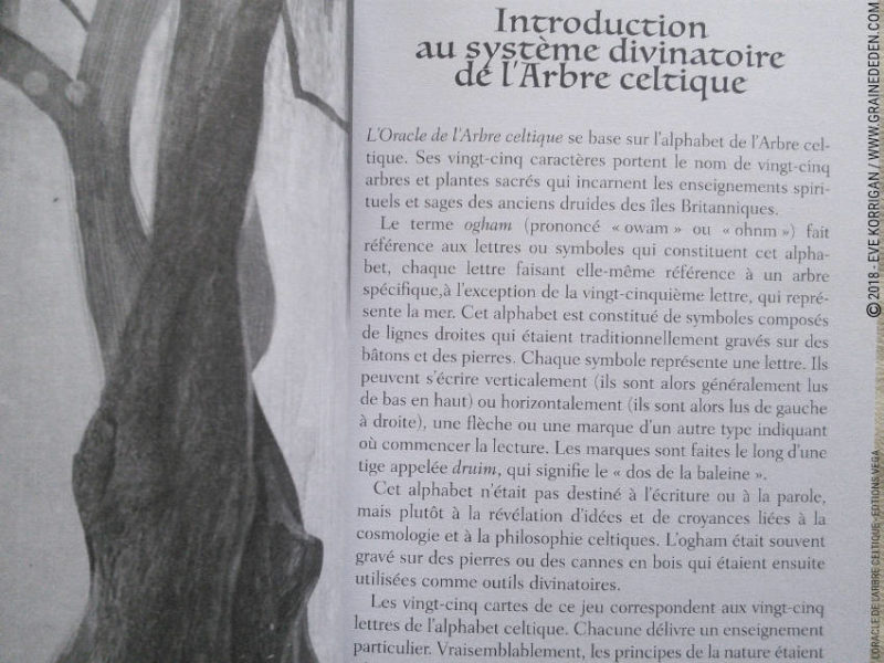 Review L'Oracle de l'Arbre Celtique de Sharlyn Hidalgo et Jimmy Manton - Graine d'Eden Développement personnel, spiritualité, tarots et oracles divinatoires, Bibliothèques des Oracles, avis, présentation, review tarot oracle , revue tarot oracle