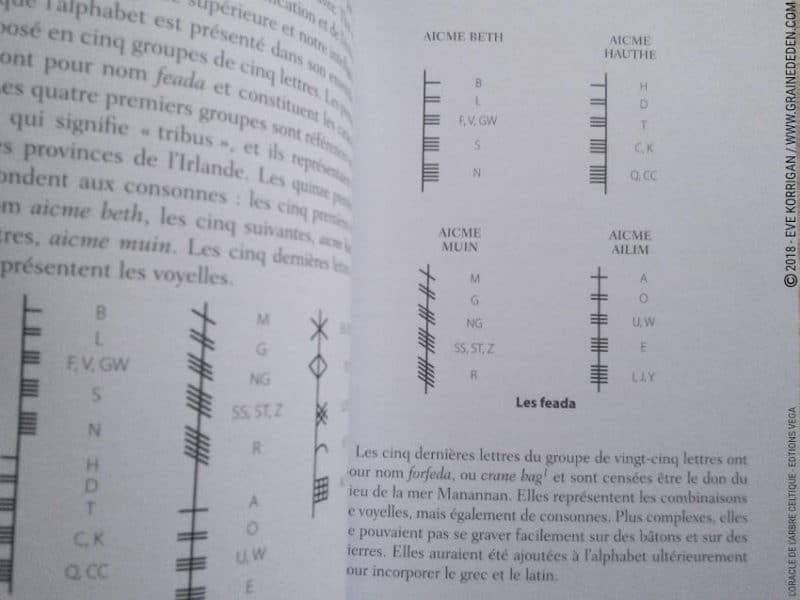 Review L'Oracle de l'Arbre Celtique de Sharlyn Hidalgo et Jimmy Manton - Graine d'Eden Développement personnel, spiritualité, tarots et oracles divinatoires, Bibliothèques des Oracles, avis, présentation, review tarot oracle , revue tarot oracle