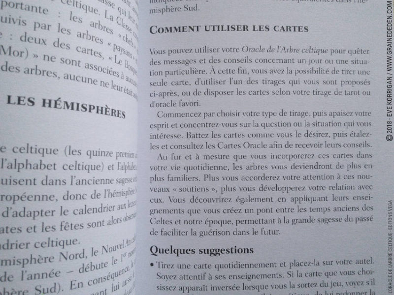 Review L'Oracle de l'Arbre Celtique de Sharlyn Hidalgo et Jimmy Manton - Graine d'Eden Développement personnel, spiritualité, tarots et oracles divinatoires, Bibliothèques des Oracles, avis, présentation, review tarot oracle , revue tarot oracle