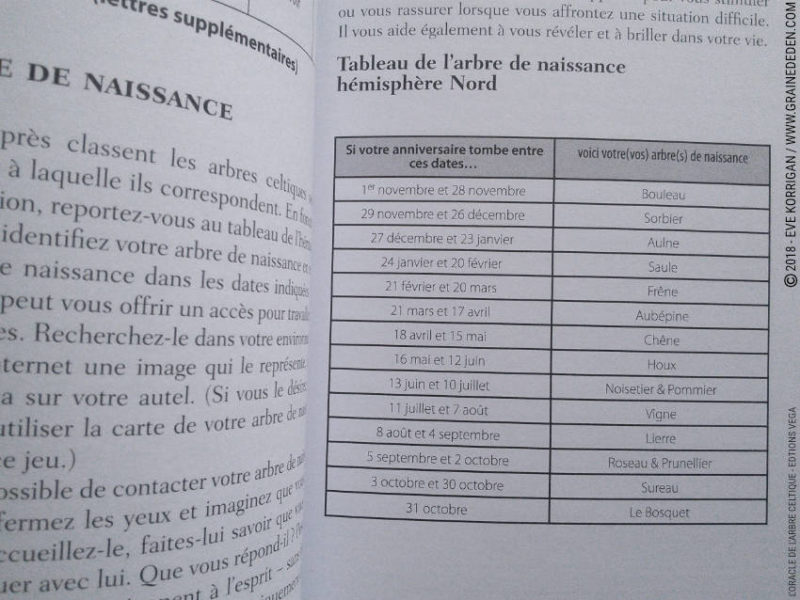 Review L'Oracle de l'Arbre Celtique de Sharlyn Hidalgo et Jimmy Manton - Graine d'Eden Développement personnel, spiritualité, tarots et oracles divinatoires, Bibliothèques des Oracles, avis, présentation, review tarot oracle , revue tarot oracle