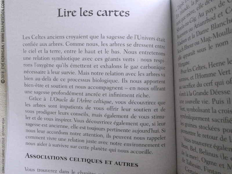 Review L'Oracle de l'Arbre Celtique de Sharlyn Hidalgo et Jimmy Manton - Graine d'Eden Développement personnel, spiritualité, tarots et oracles divinatoires, Bibliothèques des Oracles, avis, présentation, review tarot oracle , revue tarot oracle