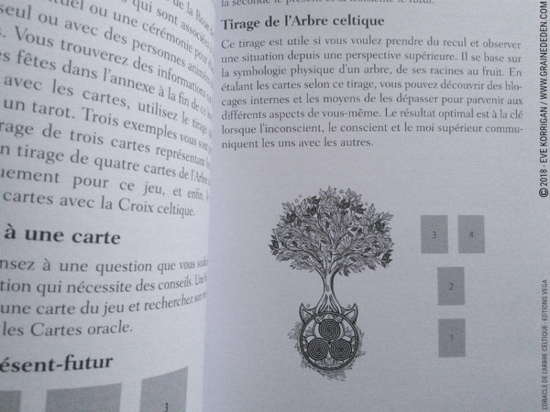 Review L'Oracle de l'Arbre Celtique de Sharlyn Hidalgo et Jimmy Manton - Graine d'Eden Développement personnel, spiritualité, tarots et oracles divinatoires, Bibliothèques des Oracles, avis, présentation, review tarot oracle , revue tarot oracle