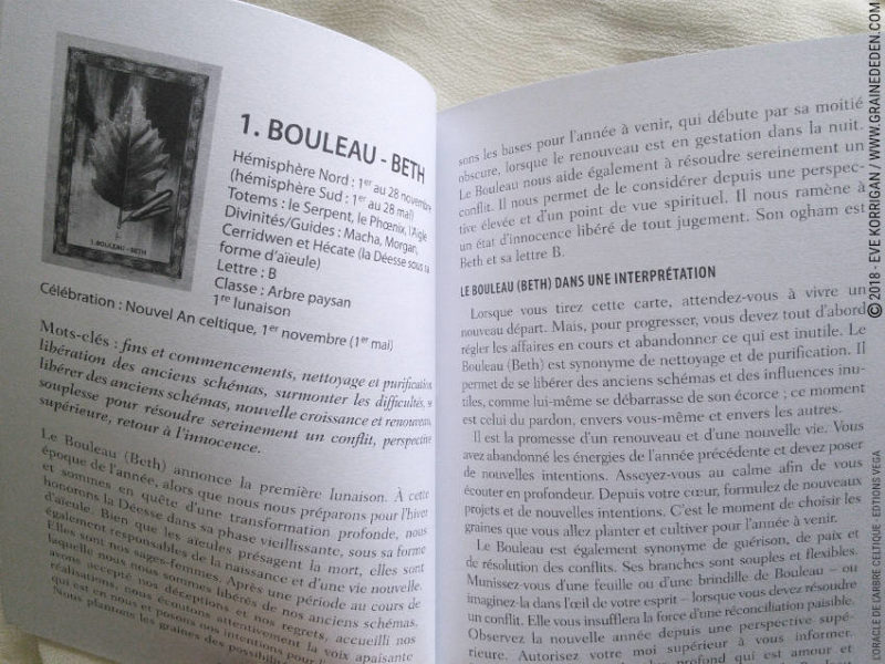 Review L'Oracle de l'Arbre Celtique de Sharlyn Hidalgo et Jimmy Manton - Graine d'Eden Développement personnel, spiritualité, tarots et oracles divinatoires, Bibliothèques des Oracles, avis, présentation, review tarot oracle , revue tarot oracle