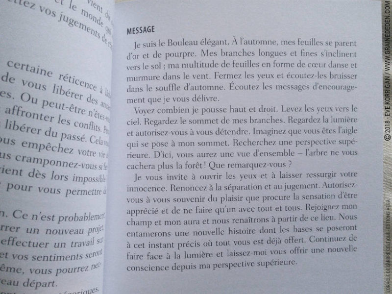 Review L'Oracle de l'Arbre Celtique de Sharlyn Hidalgo et Jimmy Manton - Graine d'Eden Développement personnel, spiritualité, tarots et oracles divinatoires, Bibliothèques des Oracles, avis, présentation, review tarot oracle , revue tarot oracle