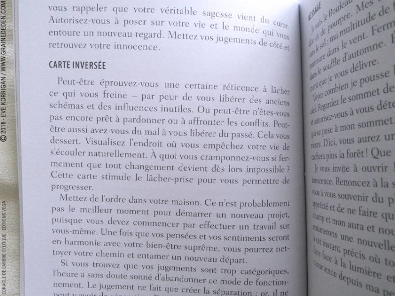 Review L'Oracle de l'Arbre Celtique de Sharlyn Hidalgo et Jimmy Manton - Graine d'Eden Développement personnel, spiritualité, tarots et oracles divinatoires, Bibliothèques des Oracles, avis, présentation, review tarot oracle , revue tarot oracle