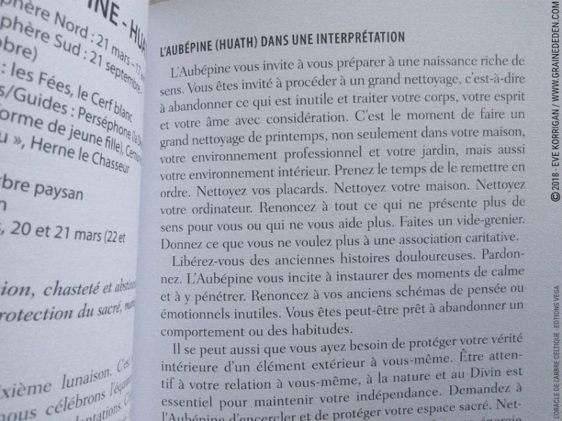 Review L'Oracle de l'Arbre Celtique de Sharlyn Hidalgo et Jimmy Manton - Graine d'Eden Développement personnel, spiritualité, tarots et oracles divinatoires, Bibliothèques des Oracles, avis, présentation, review tarot oracle , revue tarot oracle