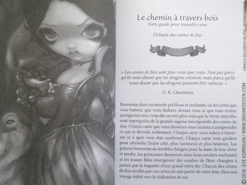 L'Oracle des Contes de Fées de Lucy Cavendish et Jasmine Becket-Griffith - Graine d'Eden Développement personnel, spiritualité, tarots et oracles divinatoires, Bibliothèques des Oracles, avis, présentation, review , revue